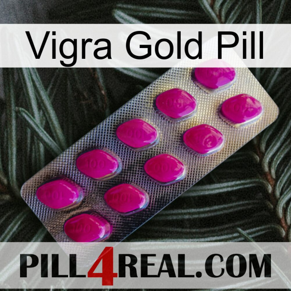 Vigra Gold Pill 09.jpg